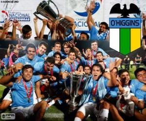 yapboz Club Deportivo O'Higgins, Şili şampiyon Ligi 2013